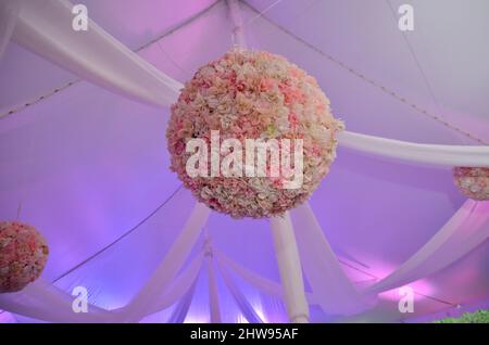 Rose Ball Decorations Lit with Purple and Pink Light Hanging From Ceiling of Large Event Tent Stock Photo