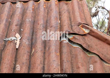 Photograph of an old brown rusty and damaged roof on an explorers hut in The Blue Mountains in New South Wales in Australia Stock Photo