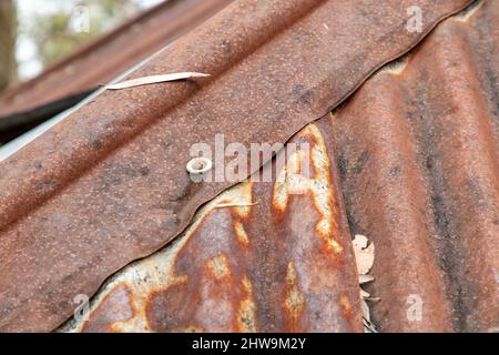 Photograph of an old brown rusty and damaged roof on an explorers hut in The Blue Mountains in New South Wales in Australia Stock Photo
