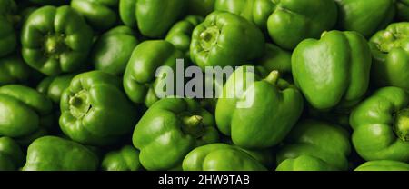 Closeup shot of fresh green paprika peppers bell Stock Photo