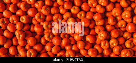 Lots of fresh red tomatoes as a background texture with beefsteak tomatoes and other varieties Stock Photo