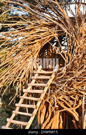 Treebones Twig Hut handmade with woven branches, built by a Big Sur artist, overlooking the vast Pacific Ocean, coastline and Big Sur, California, USA Stock Photo