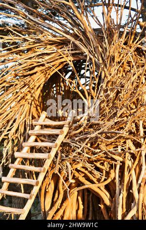 Treebones Twig Hut handmade with woven branches, built by a Big Sur artist, overlooking the vast Pacific Ocean, coastline and Big Sur, California, USA Stock Photo