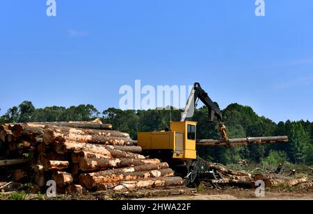 Log loader lifts heavy logs and stacks them ready for transport.  Long arm has log loaded inside clamp or jaws.