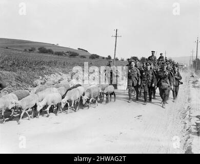 Third Battle of the Aisne 1918 Stock Photo - Alamy