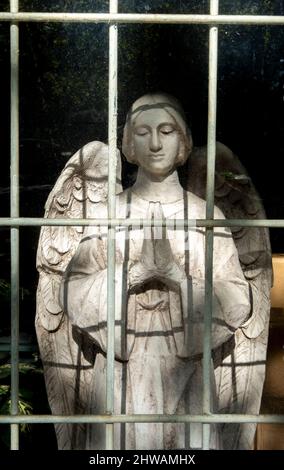 Statue of an angel in a shop window. Carlton, Melbourne, Victoria, Australia Stock Photo