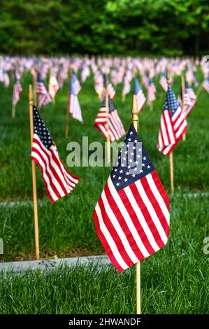 Stick flags of the United States by ground grave markers at the Tahoma National Cemetery in Kent, Washington USA Stock Photo