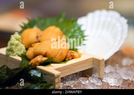 Closeup Fresh Uni. Atlantic sea urchin meat in wooden tray serve on ice with fresh wasabi and green shiso leaf. Japanese food Stock Photo
