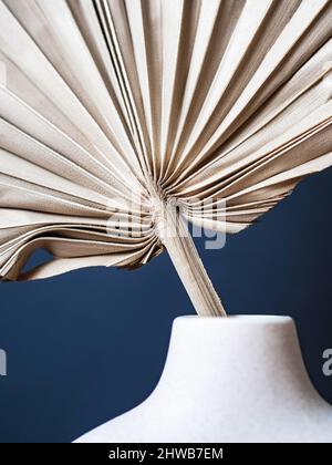 Round stylish ceramic vase with dried palm leaf. Dark blue background. Front view. Copy space Stock Photo