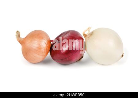 Three onion bulbs of different colors (red, yellow and white) isolated on white background. High resolution photo. Full depth of field. Stock Photo