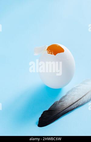 Broken chicken egg and feather on blue background. Broken eggshell with liquids inside. Easter concept Stock Photo