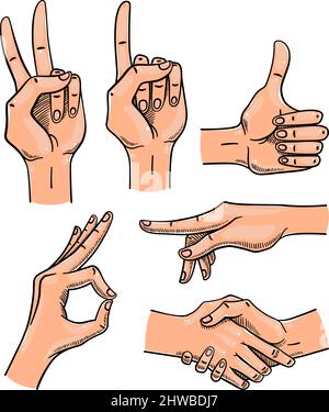 Various gestures of female hands. Isolated on a white background. Vector illustration Stock Vector