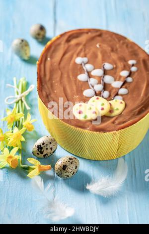 Tasty Easter cake made with yellow daffodils Easter chocolate cake with eggs. Stock Photo