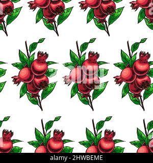 Red pomegranate pattern – Seamless fruit illustration Stock Vector