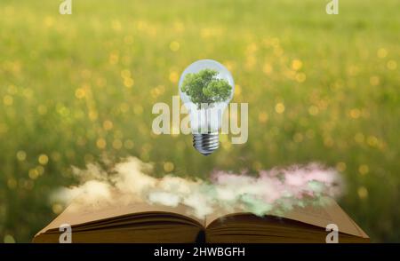 Knowledge. Light bulb with a tree inside suspended on an old open book. Colorful clouds and bokeh background Stock Photo