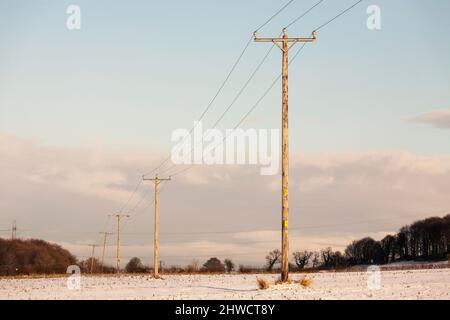 Overhead power lines carried on a series of wooden utility poles, north east England, UK Stock Photo