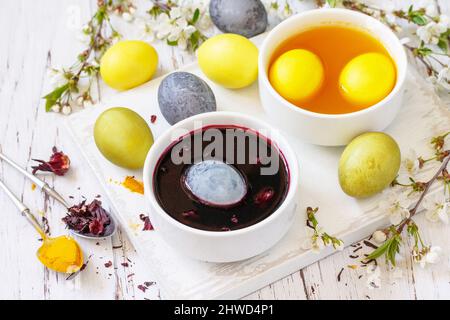 Natural dye for easter eggs, celebration Easter. Homemade colored easter eggs in carcade and turmeric on a rustic table. Stock Photo
