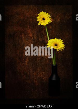 Two yellow daisies in black vase against artistic, textured background. Stock Photo