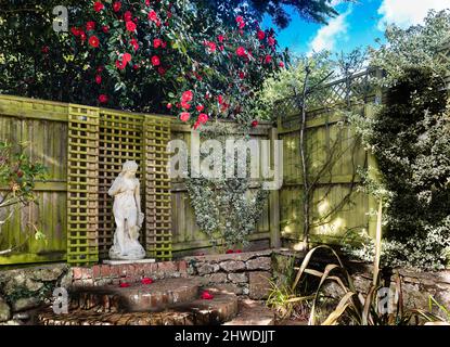 Andromeda gazing over a Spring Country Garden. Stock Photo