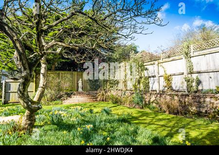 Early Spring in an English Country Garden. Stock Photo