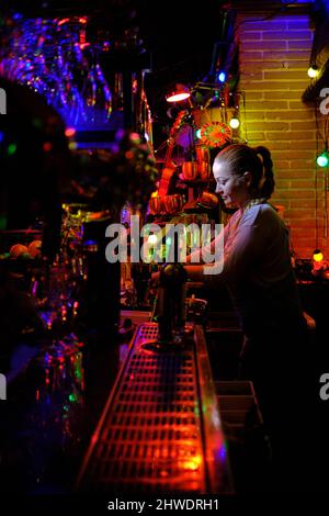 Female bartender working in a bar standing behind the counter. Stock Photo