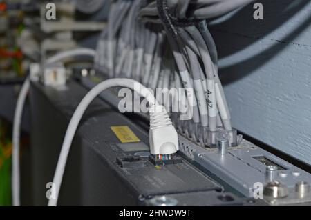 Ethernet network cables plugged into a router or hub. Stock Photo