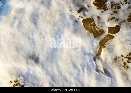 White froth on green brown sea water Stock Photo
