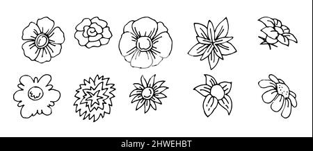 simple cartoon flower