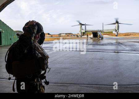 U.S. Navy Petty Officer 1st Class James S. Gafford with 2nd Marine Aircraft Wing, II Marine Expeditionary Force, puts on his helmet prior to boarding an MV-22B Osprey at Norwegian Air Force Base Bodø, Norway, Feb. 28, 2022. Exercise Cold Response ’22 is a biennial exercise that takes place across Norway, with participation from each of its military services, as well as from 26 additional North Atlantic Treaty Organization (NATO) allied nations and regional partners. (U.S. Marine Corps photo by Lance Cpl. Elias E. Pimentel III) Stock Photo