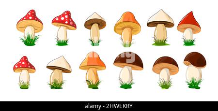 Set of different colored mushrooms in cartoon style. Objects isolated on white background. Vector Stock Vector