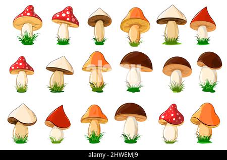 Big set of different colored mushrooms in cartoon style. Objects isolated on white background. Vector Stock Vector