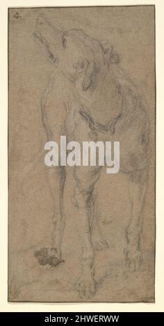 Study of a Dog.  Artist: Abraham Hondius, Dutch, 1625–1695 Stock Photo