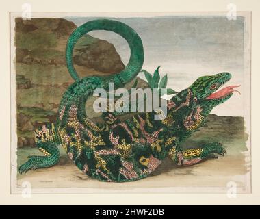 Lizard, from Metamorphosis Insectorum Surinamensium.  Artist: Maria Sibylla Merian, German, 1647–1717