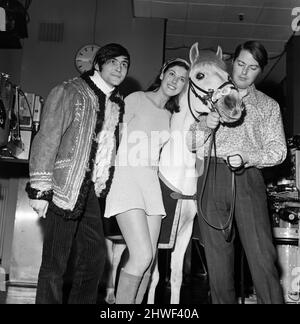 Left to right, Tony Bastable, Susan Stranks with 'Puff' a Welsh mountain pony and Pete Brady, three of the presenters of the programme 'Magpie'. The programme will be featuring the pony and showing viewers the processes of good horse care and grooming. 13th January 1969. Stock Photo