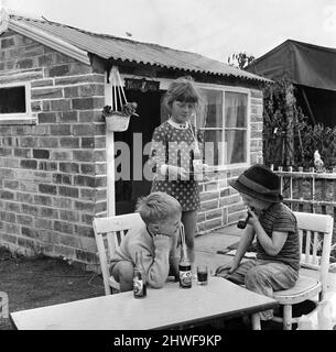 Seven-year-old Karen Thompson 'licensee' of the pub where time is never called - The Nook at Lofthouse, Near Wakefield, Yorks. Karen serves drinks to her brothers, five-year-old Barry (left) and Russell, aged four. 1st July 1970. Stock Photo