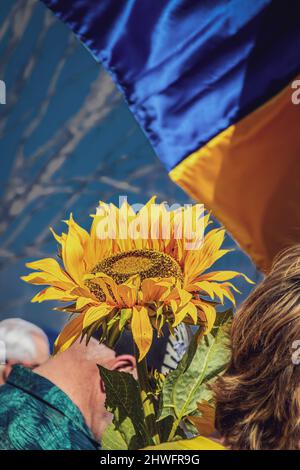 Pray for Ukraine - at pro-Ukraine rally, people bow their heads in prayer - woman holds giant sunflower and blurred flag flies behind them - Copy Spac Stock Photo