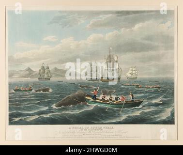 The Shoal of a Sperm Whale. After: Thomas Birch, American, born England, 1779–1851 Stock Photo