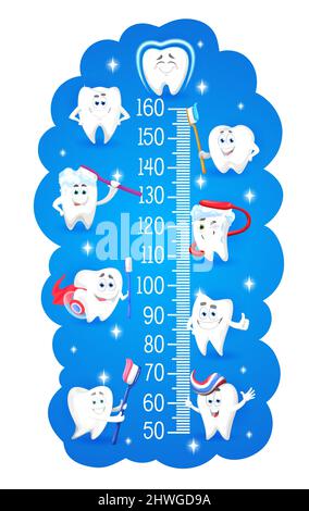 Cartoon teeth characters with toothbrushes, vector kids height chart or growth meter ruler. Children ruler or stadiometer on blue background with funn Stock Vector