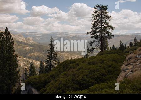 Autumnal natural landscape from Yosemite National Park, California, United States Stock Photo