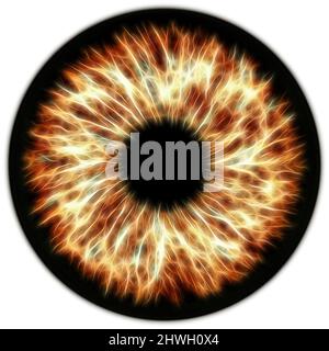 Illustration of a dark brown electrify human iris on black background. Digital artwork creative graphic design. Stock Photo