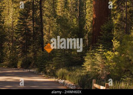 Autumnal natural landscape from Yosemite National Park, California, United States Stock Photo