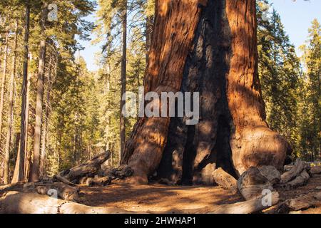 Autumnal natural landscape from Yosemite National Park, California, United States Stock Photo