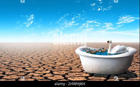 Swan and her babies inside a bathtub in a dry hot desert. Stock Photo