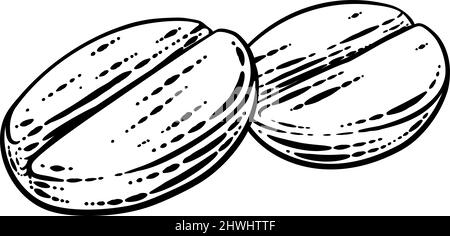 Coffee Beans Illustration Vintage Woodcut Style Stock Vector Image ...