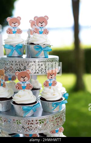 Cake in blue and white and cupcakes for children's birthday or christening on a sweet table for a garden party Stock Photo