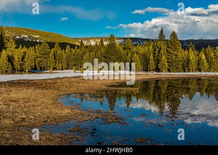 Melting snow in May creating a lake, perhaps ephemeral, in Yellowstone National Park, Wyoming, USA Stock Photo
