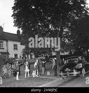 Children in Hartburn, County Durham, playing conkers under a conker tree. 1971. Stock Photo
