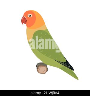 Lovebird parrot sitting on a branch. Vector illustration of multicolored lovebird parrot sitting on a branch isolated on a white background. Side view Stock Vector