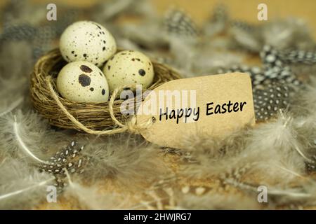 Happy Easter. Quail eggs in the nest against the background of fluffy feathers. Greeting card on the holiday Stock Photo