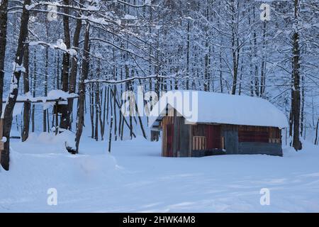 Winter concept idea, loneliness inspirational, tranquility mood at snow and winter at small village house. Stock Photo